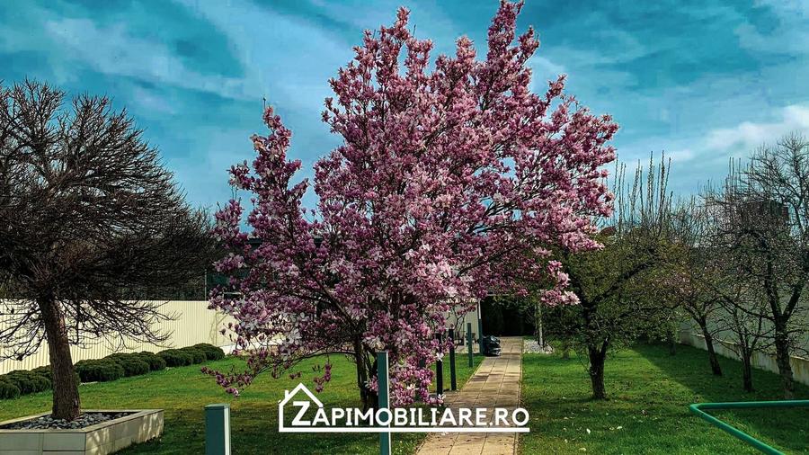 Unirii - Casa Zona Romcab -  400mp - 1259 mp teren - Garaj dublu - piscina - 7