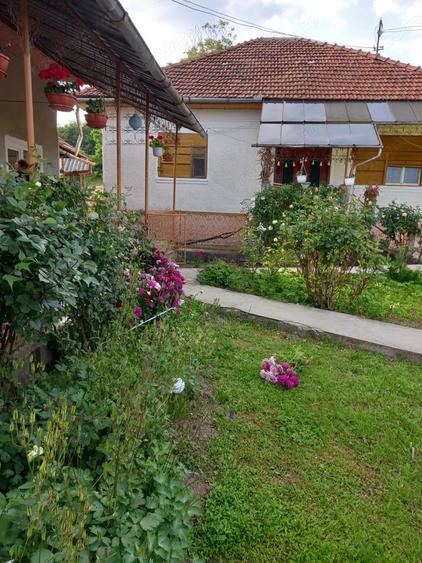 Casa de vanzare in jude?ul Hunedoara, la 7 km de ora?ul Brad - 3