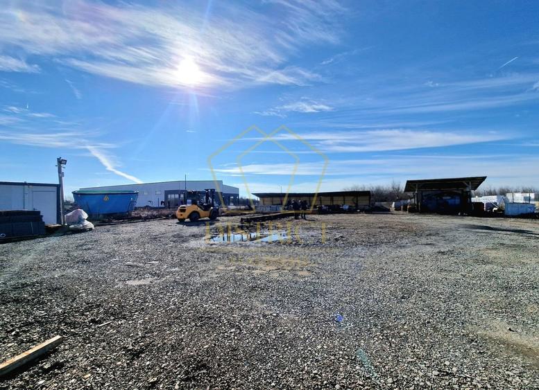 Teren / Platforma 1000mp de inchiriat | Mosnita Noua | Albina - 2