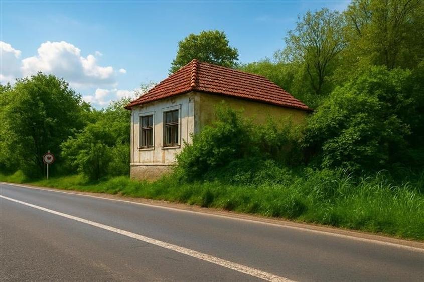 Domeniu verde autentic,  +5.000mp, front la DJ, Valcele, Brasov -- Covasna - 1