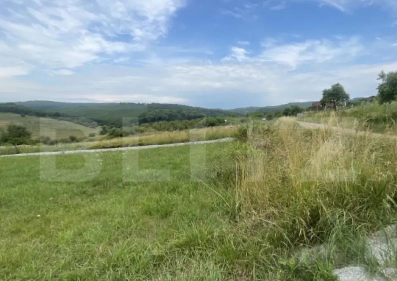 Teren de vanzare zona Subcetate, aproape de str. Tarp - 3