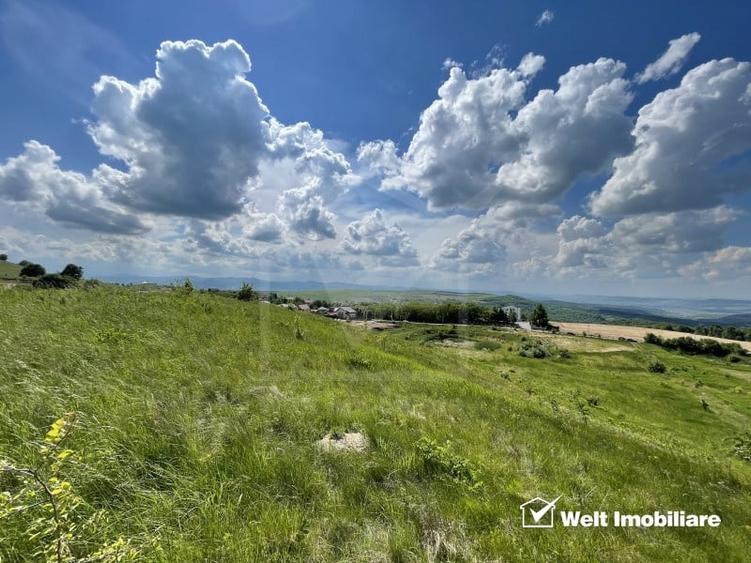 Teren superb in Salicea, 3695 mp, PUZ, drum, apa si curent, zona “La Mesteceni” - 4