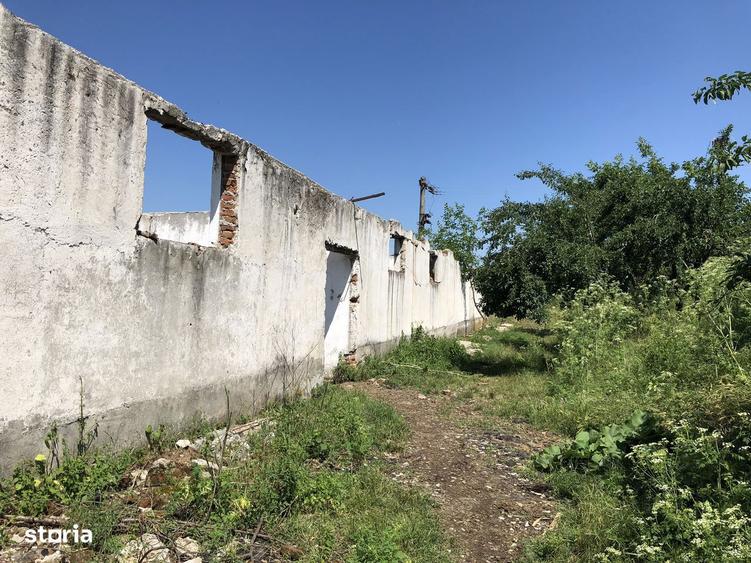 Teren + constructii de vanzare Radoiesti Cetatea, jud. Teleorman - 2