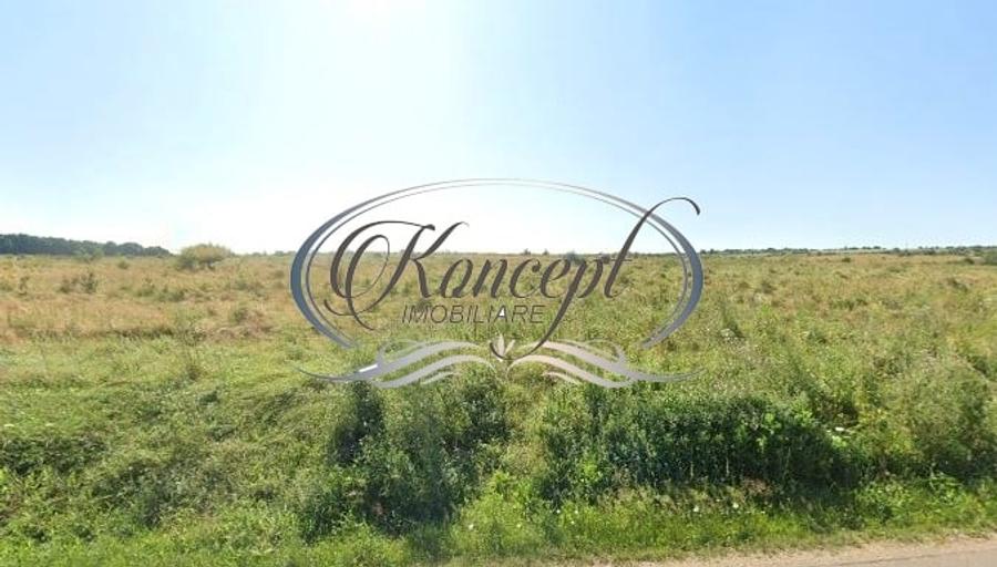 Teren intravilan in Salicea - 3