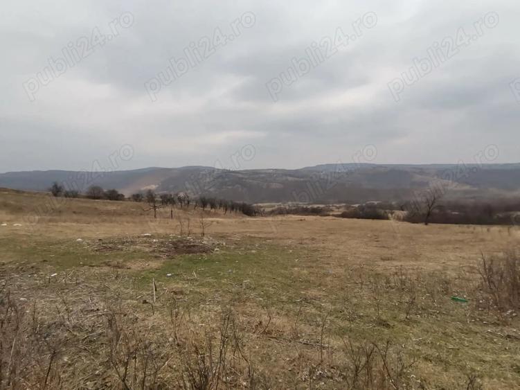 Teren de 9700 mp, în Dănulești
