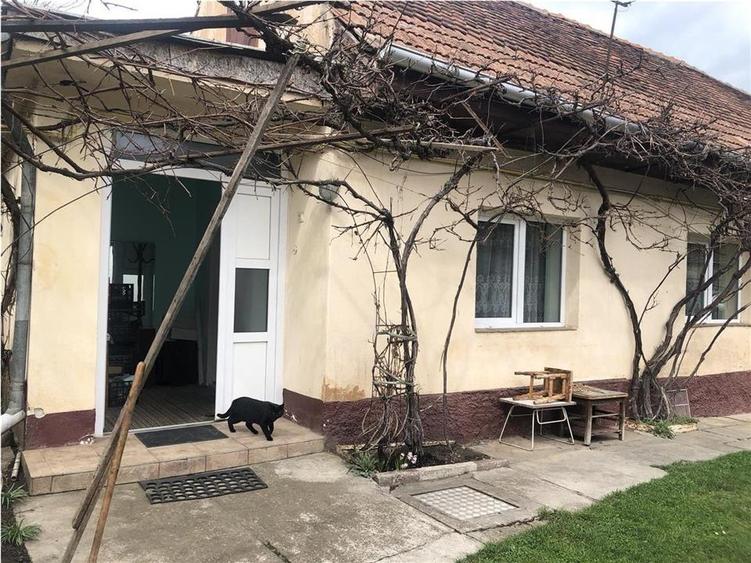 Casa locuibila cu teren generos,  REPUBLICII SANPETRU - 18