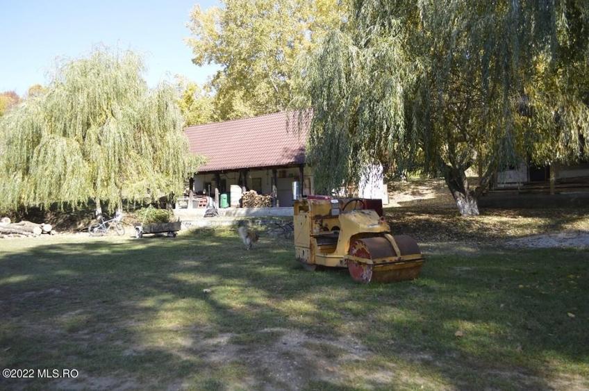 Topoloveni - Conacul Ion Mihalache, Domeniu pe 5 Hectare! - 15