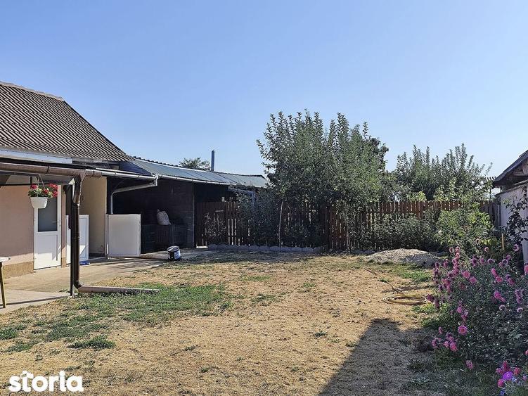 Casa la tara in Sacadat, Bihor, teren 2826 mp, acces auto - Vanzare - 1