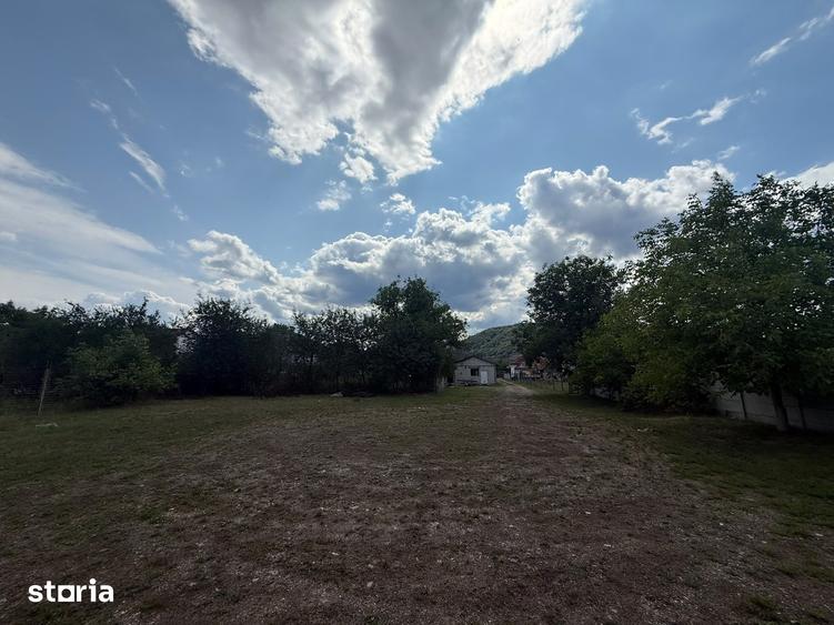 Teren comercial de inchiriat, 2630 mp, urban - 2