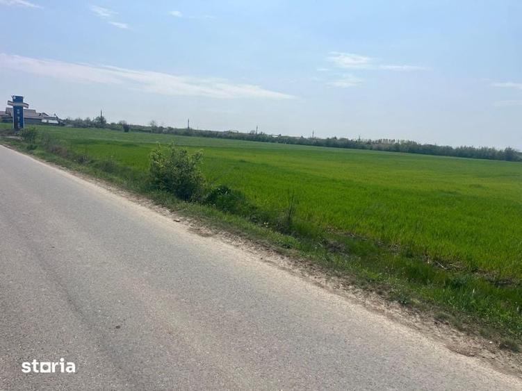 Teren de 5600 mp, în Ciocănești