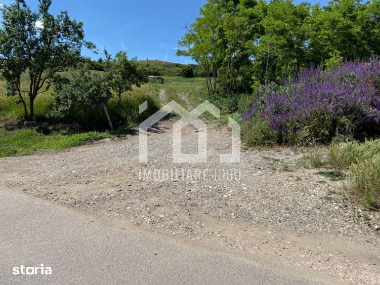 Teren de 2486 mp, în Jucu