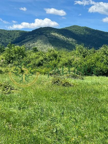 Teren agricol extravilan de 2000 mp, în Poplaca