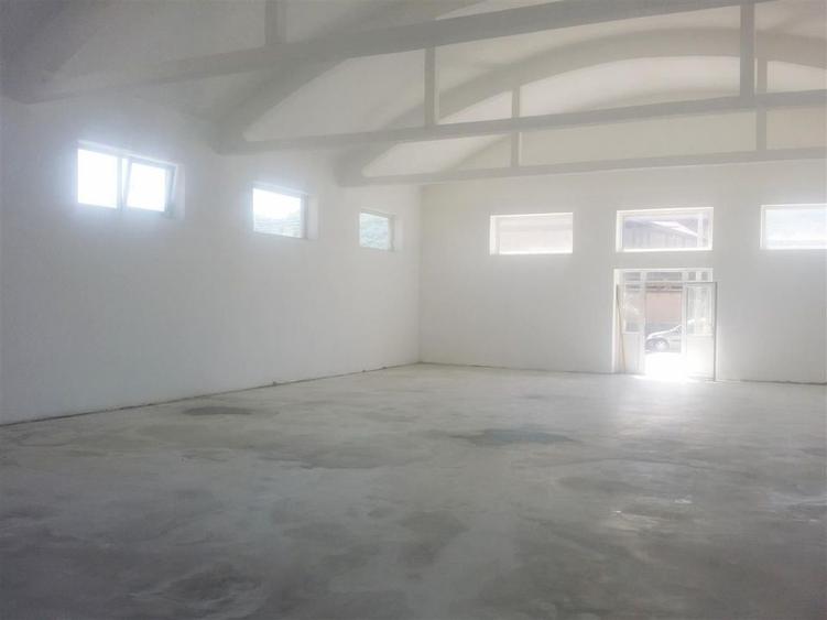 Spatiu: comercial, showroom, productie de inchiriat in Bartolomeu - 17