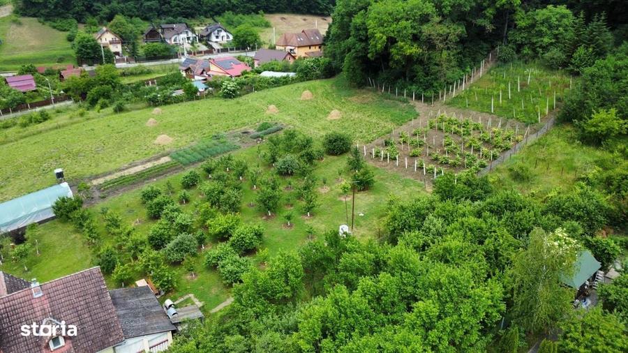 DE VANZARE Doua parcele de teren intravilan in Corunca-Valea Iubirii - 5