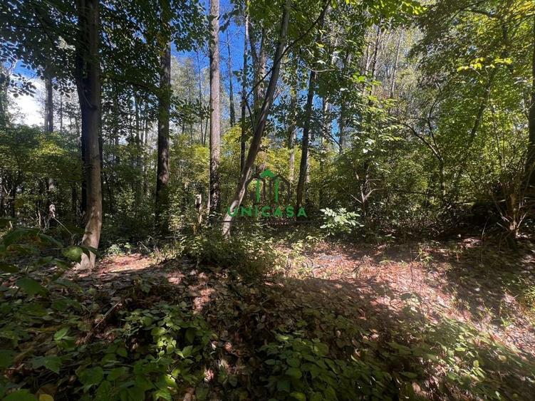 Teren zona Nord/ 6000 mp - 2