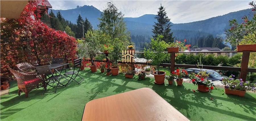 Casa Raluca! - Statiunea Durau! - 8