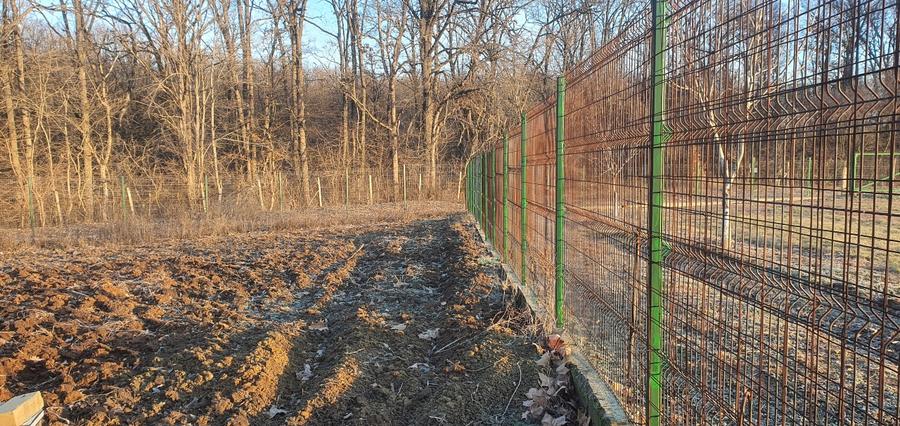 Snagov-Tancabesti, Teren de vanzare langa padure - 3