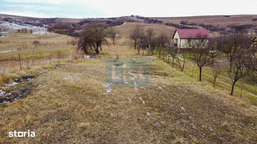 Teren de 1500 mp, în Ciurila