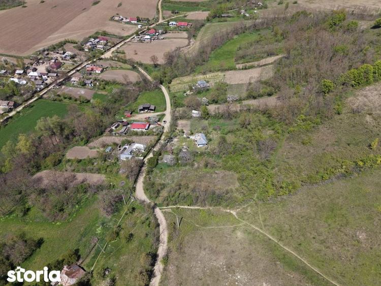 Teren de vanzare + casa in Gorghesti, Bacau 7.391 mp, zona linisti - 6