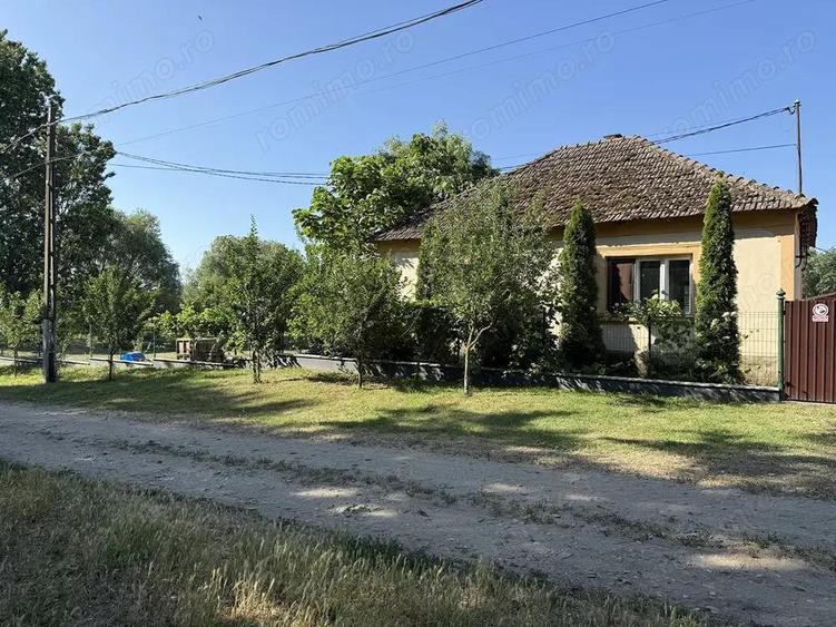 Catun Ferma autorizata Tip A pentru cresterea porcilor - IMOBIHOR - 8