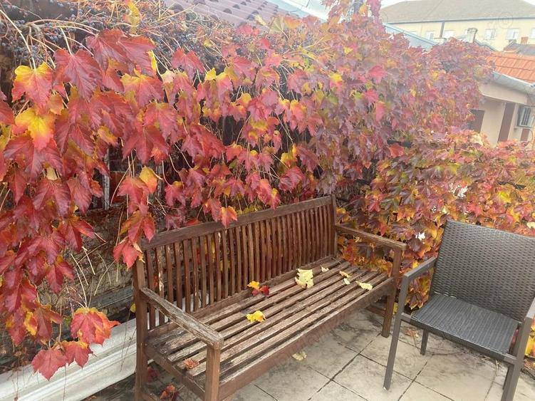 Vila ultracentrala, 390 mp utili, doua corpuri, birou cu acces stradal - 2