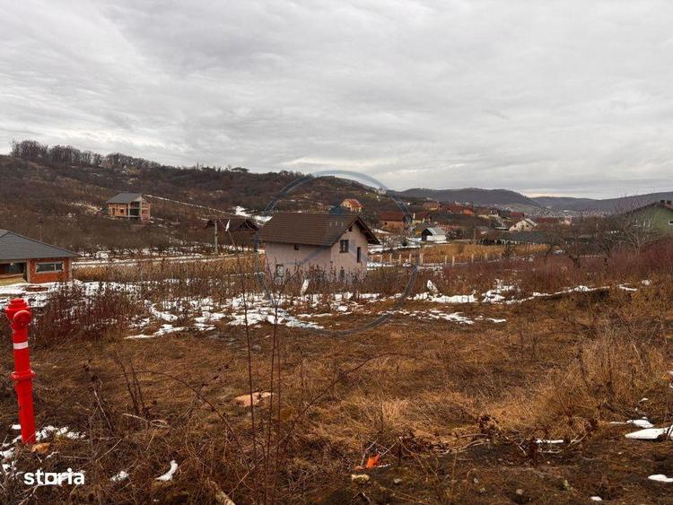 Teren Intravilan 550mp Valea Rusului - 4