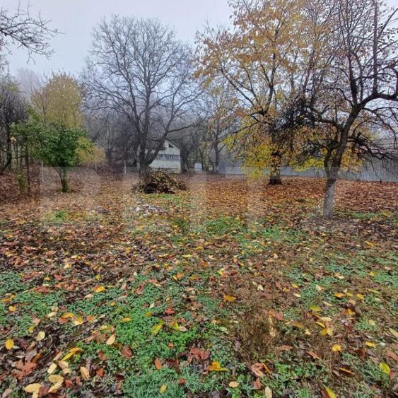 Casa de vanzare ,teren 4000mp, Prundu Bargaului - 11