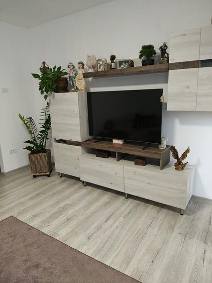 Vand casa in Dumbravita - 4