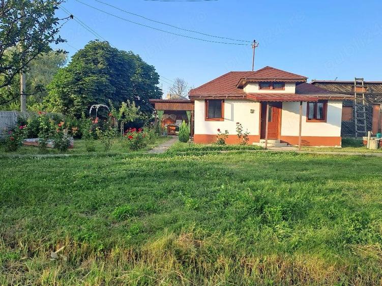 Casa de vanzare-Pitesti, sat Profa Deal - 3