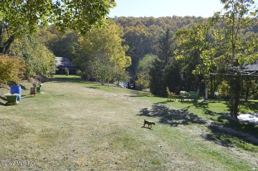 Topoloveni - Conacul Ion Mihalache, Domeniu pe 5 Hectare! - 11