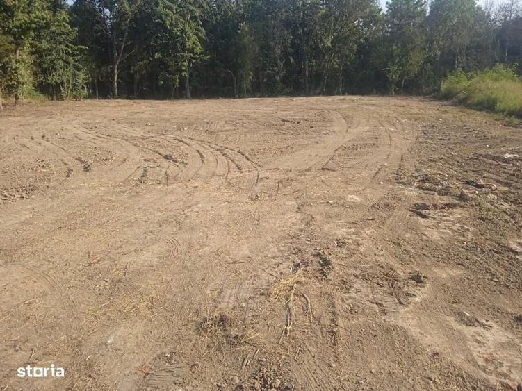 Neptun teren intravilan construibil 1750 mp - 2