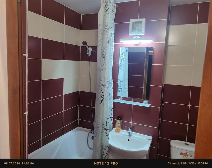 Apartament 1 camera de inchiriat - 7