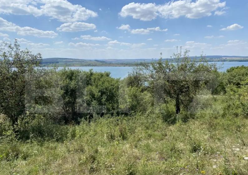 Teren extravilan in apropierea lacului Varsolt in suparfata - 5