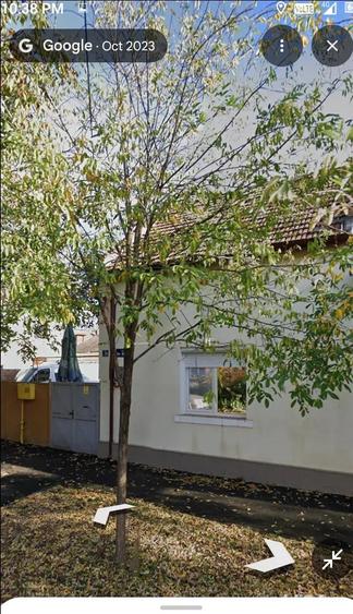 Inchiriez casa cu teren - 1