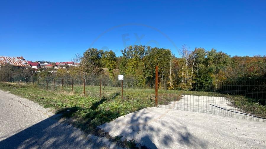 Teren 969 mp intravilan la 10km de Pitesti, langa padure. - 3