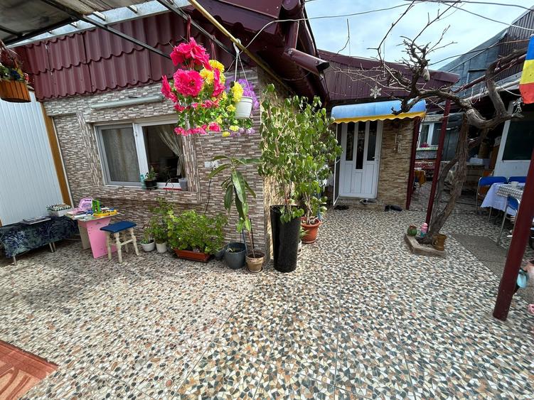 Casa 4 zona Plantelor - 1