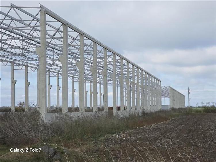 Vanzare depozit/hala/spatiu industrial Mogosoaia - Buftea - 1