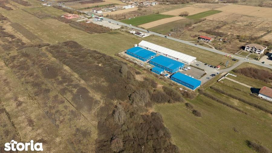 Teren extravilan de 7.000 mp langa Paltini? - 2