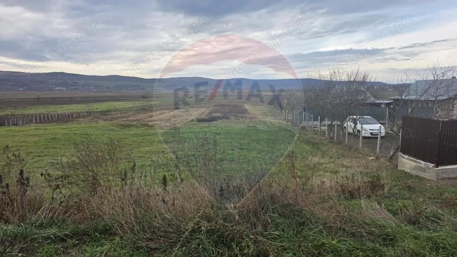 Teren intravilan si extravilan 8,282mp oras Negresti, judetul Vaslui - 3