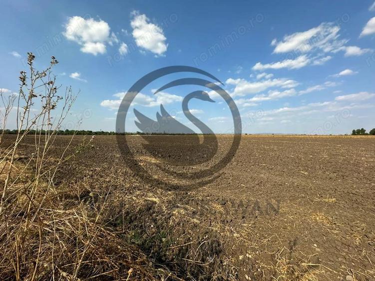 Teren extravilan de vanzare | 9882mp | Berceni - Prahova | Comision 0% - 12