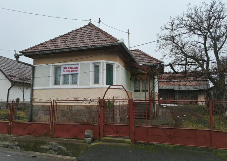 Casa de vanzare in Ibanesti - 6