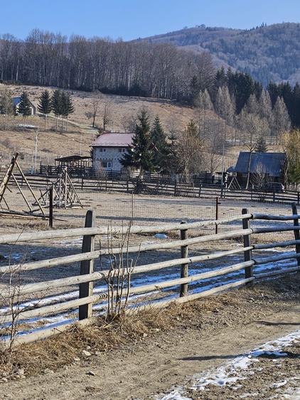 Casa de vanzare Traisteni - 4
