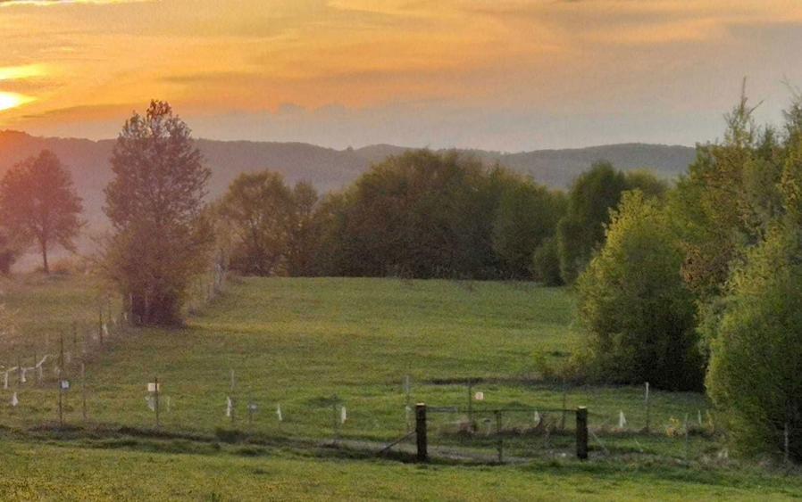 Teren 7024 mp Ciucea Cluj, livada + padure, curent, ideal cabana - 2