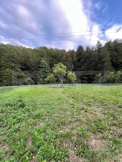 Casa 100 mp utili 4 camere 1,6 ha teren aproape de Trans Apuseana - 1