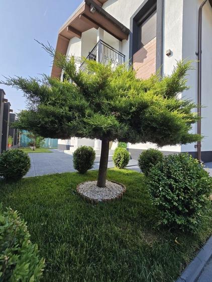 Vila mobilata si utilata la intrarea in Comuna Berceni - 6