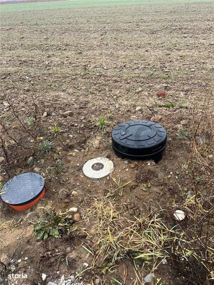 RECO Teren intravilan -loc de casa sau servicii 600 mp Cheriu - 1