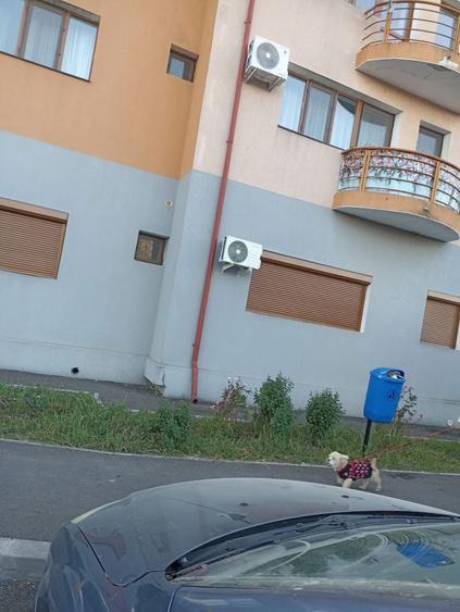 Inchiriez apartament - 6