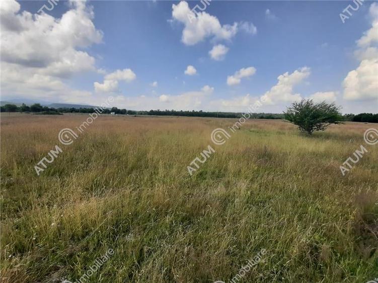 Teren Intravilan in Avrig zona Valea Avrigului 8900 metri - 1