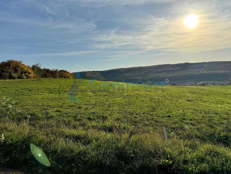 Teren Construcții intravilan de 5487 mp, în Betfia