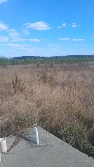 FlamIngo Park Teren intravilan BALOTESTI 15.000 EURO - 2